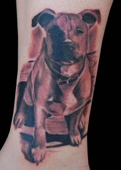Tattoos - Black and Gray Pitbull Portrait Tattoo - 53817